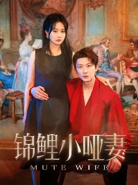 锦鲤小哑妻:穿越古代,她用善良点亮爱情