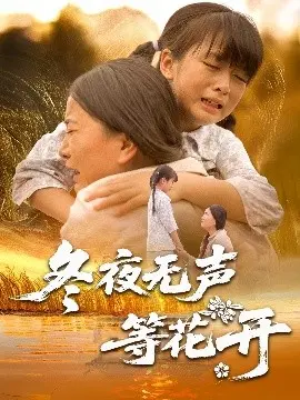 冬夜无声等花开 海报