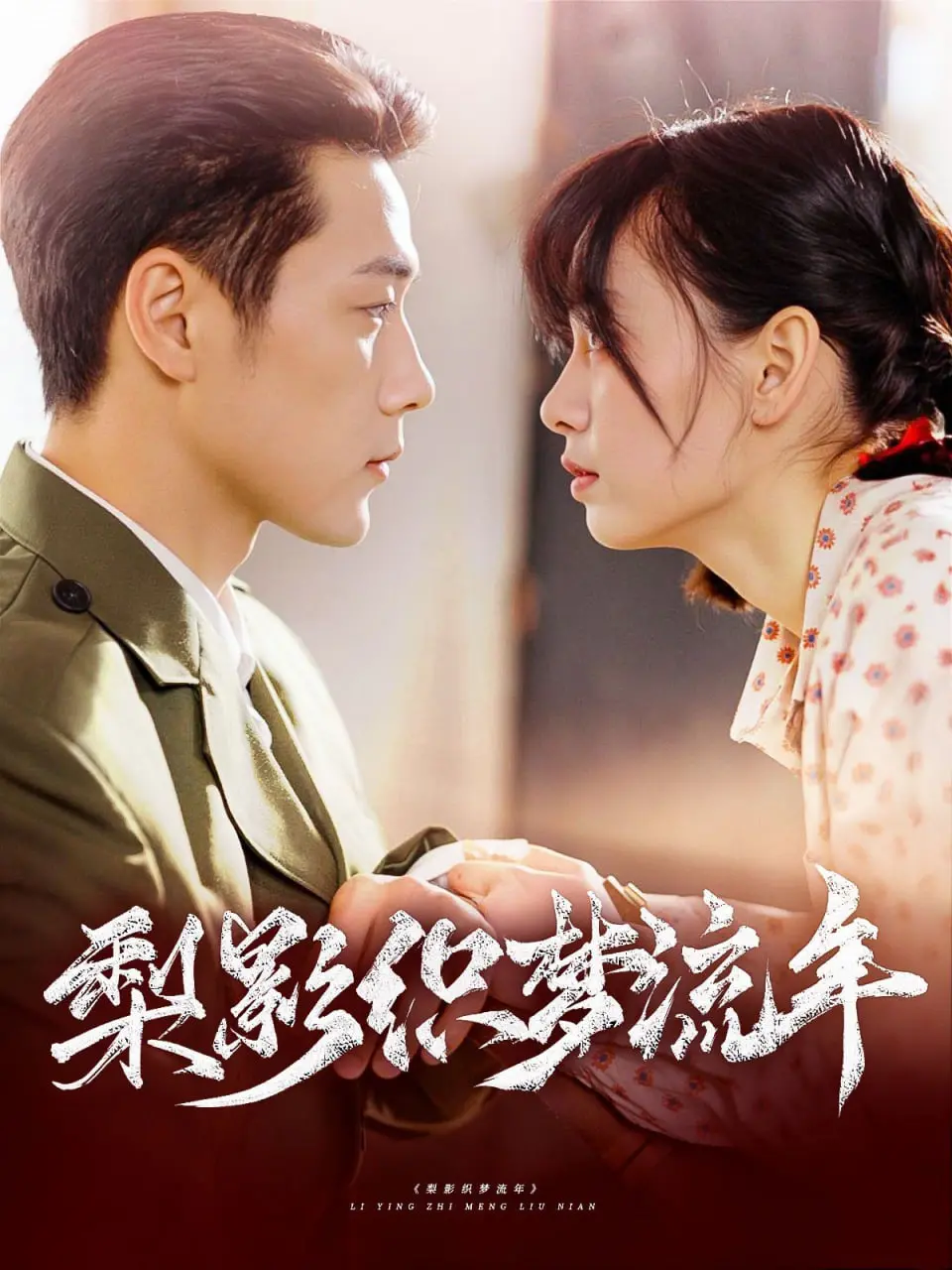 《梨影织梦流年》：镜头下的时代变迁，追忆似水年华的家族史诗！