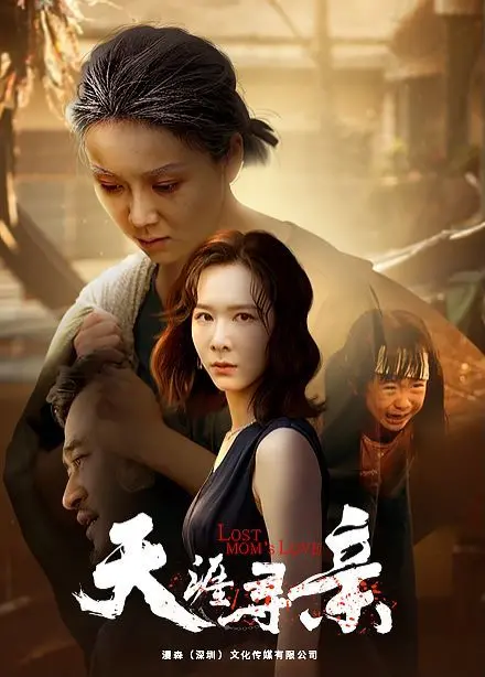 穿越神秘旅程的家庭重逢：《天涯寻亲》揭秘权谋与情感的深刻碰撞