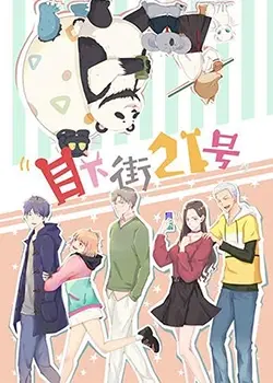 《目下街21号》：藏匿于都市阴影下的秘密，一场关于生存与救赎的绝望独白